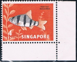 Singapore Stamp 1962 4c
