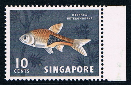 10c Fish stamp singapore 1962